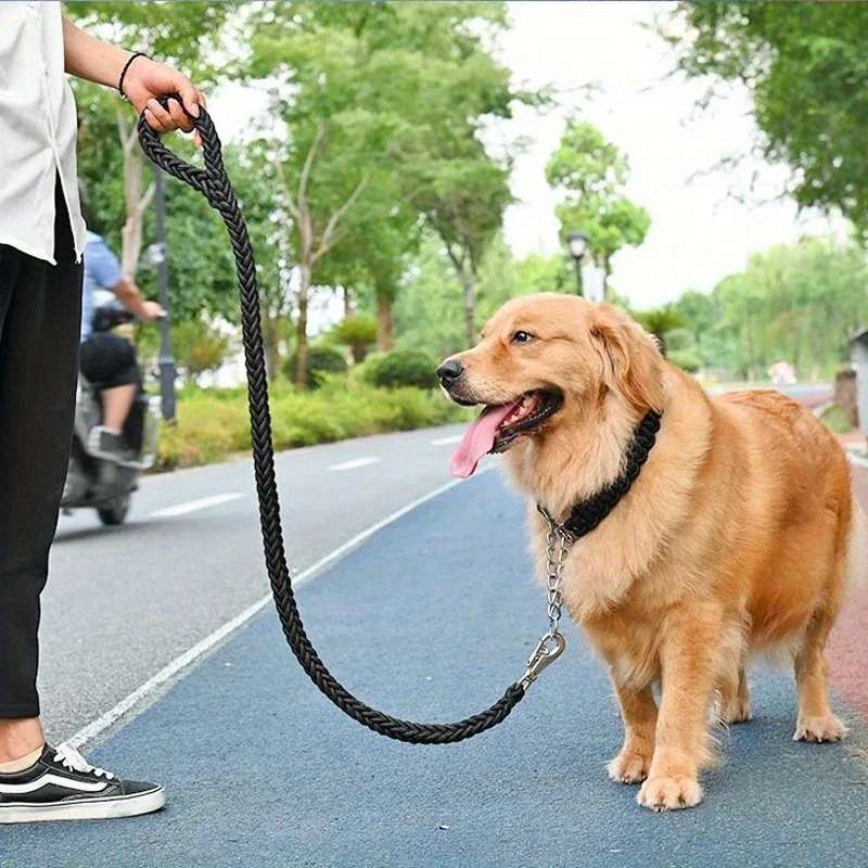 Dog Leash Color Black Size S Width 1.5Cm