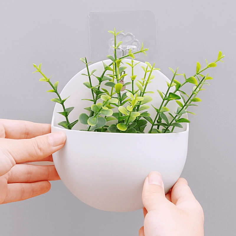 Flowerpot Color Long   Transparent