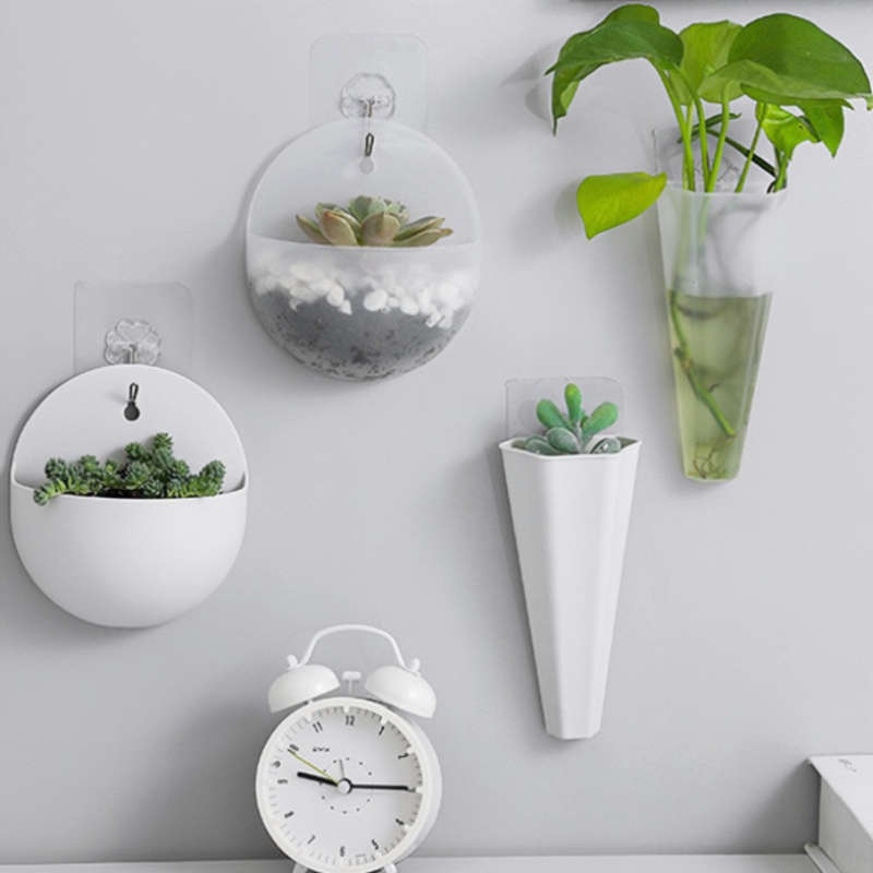 Flowerpot Color Long   Transparent