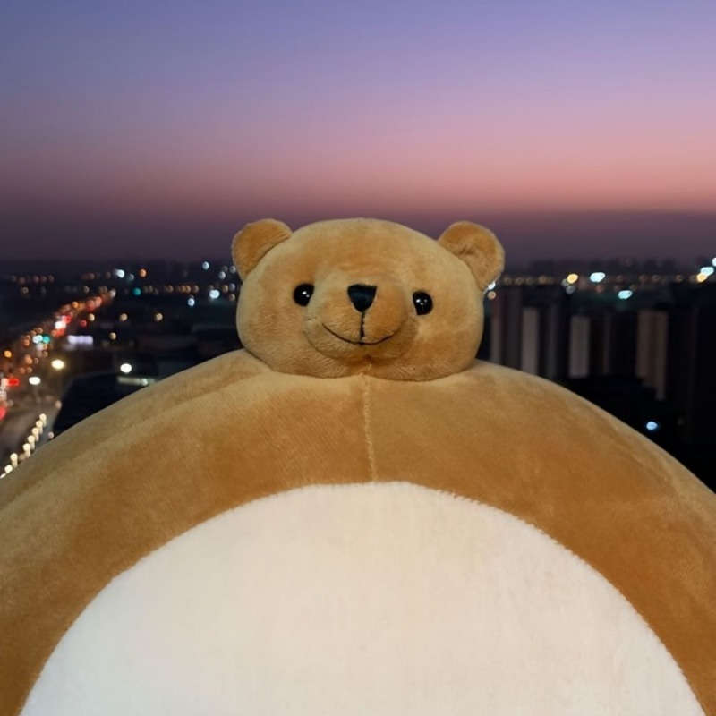 Plush Toys Color Brown 1