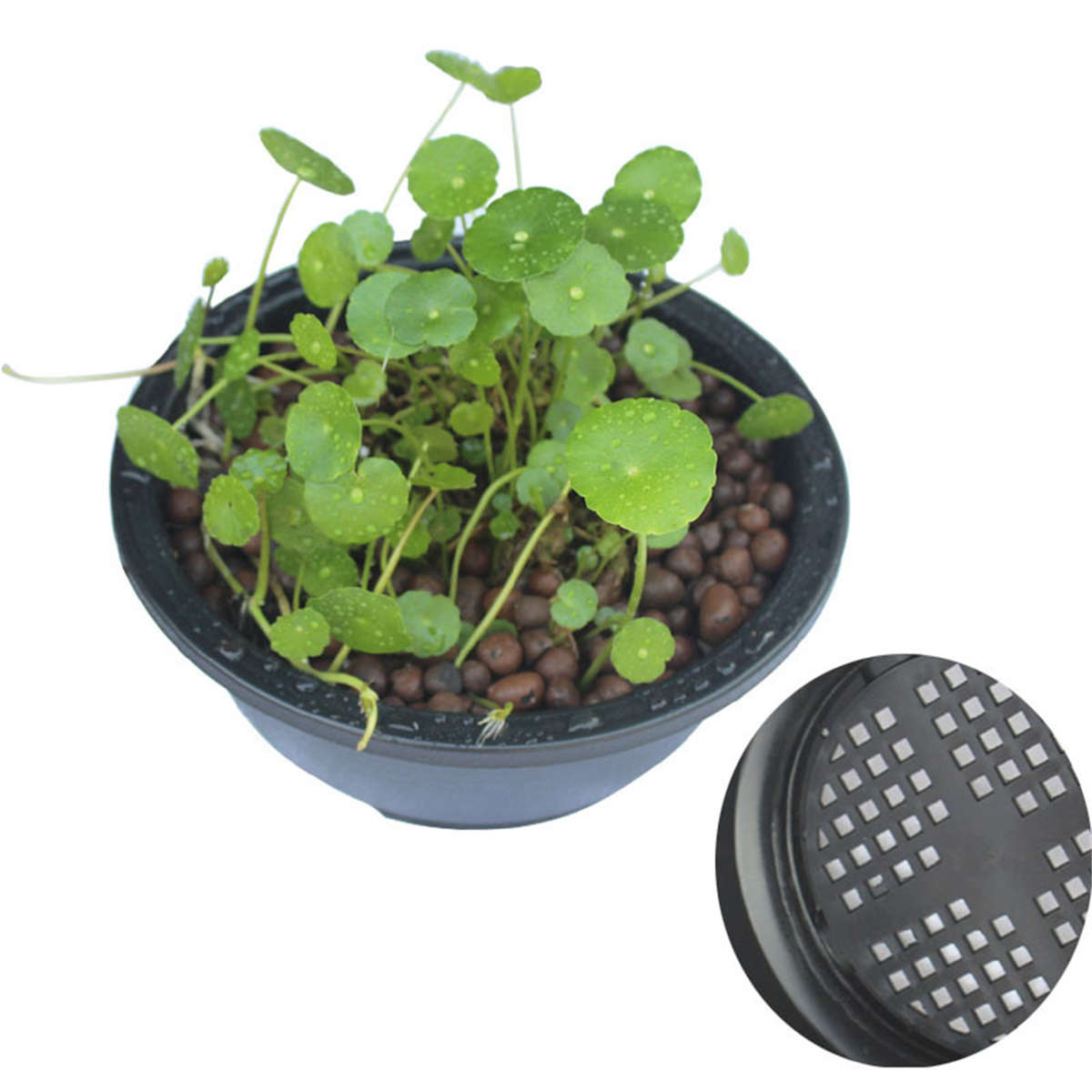 Flowerpot  5Pcscolor Black