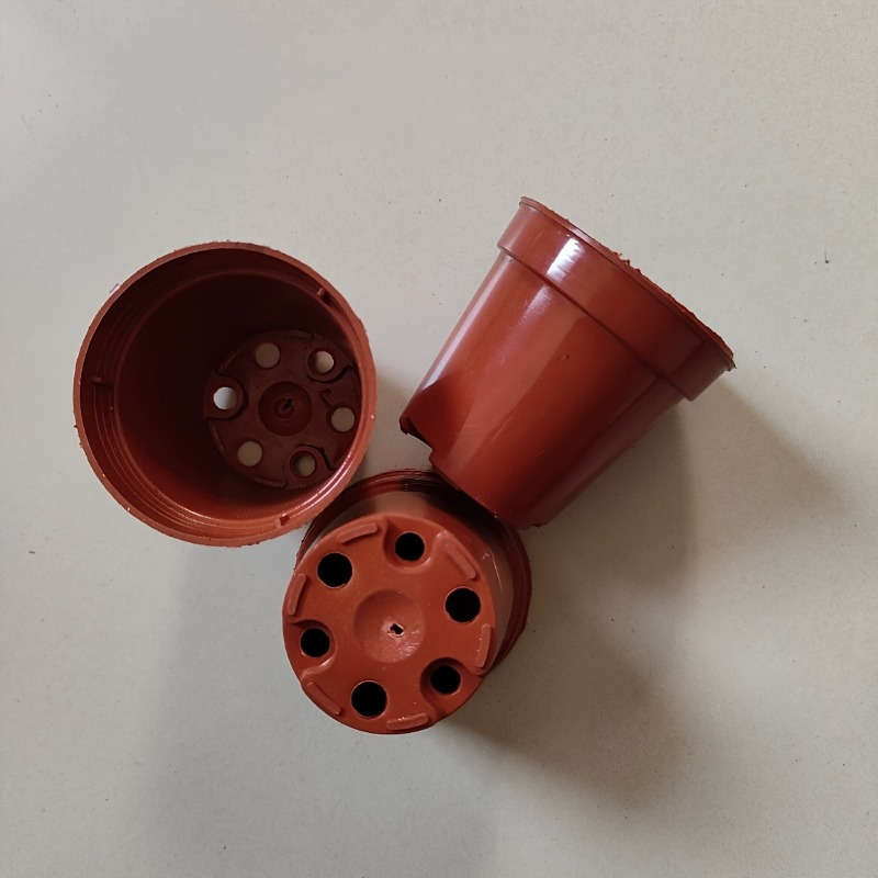 Flowerpot Quantity 5Pcs