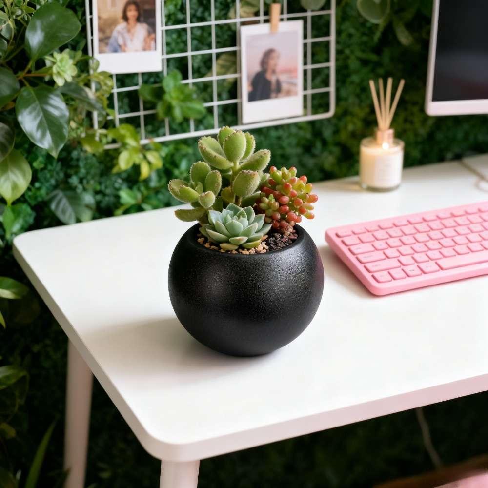 Flowerpotmaterial Plasticsize L20X15 6 Cm Black