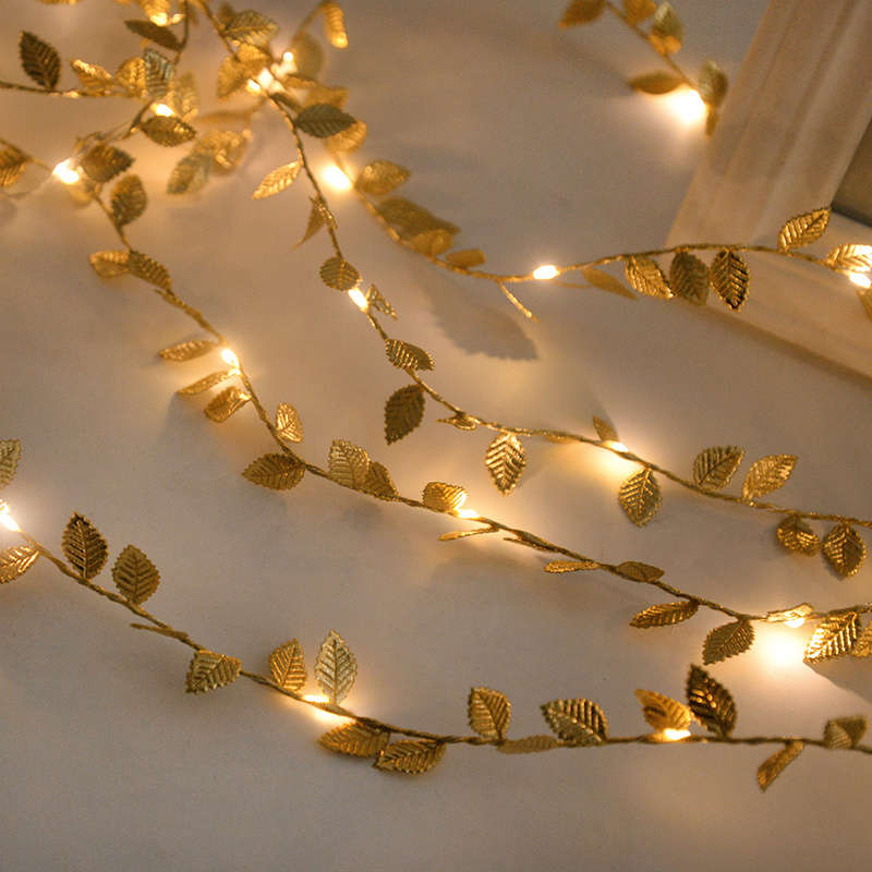 String Lights Color 3M 118.11Inch