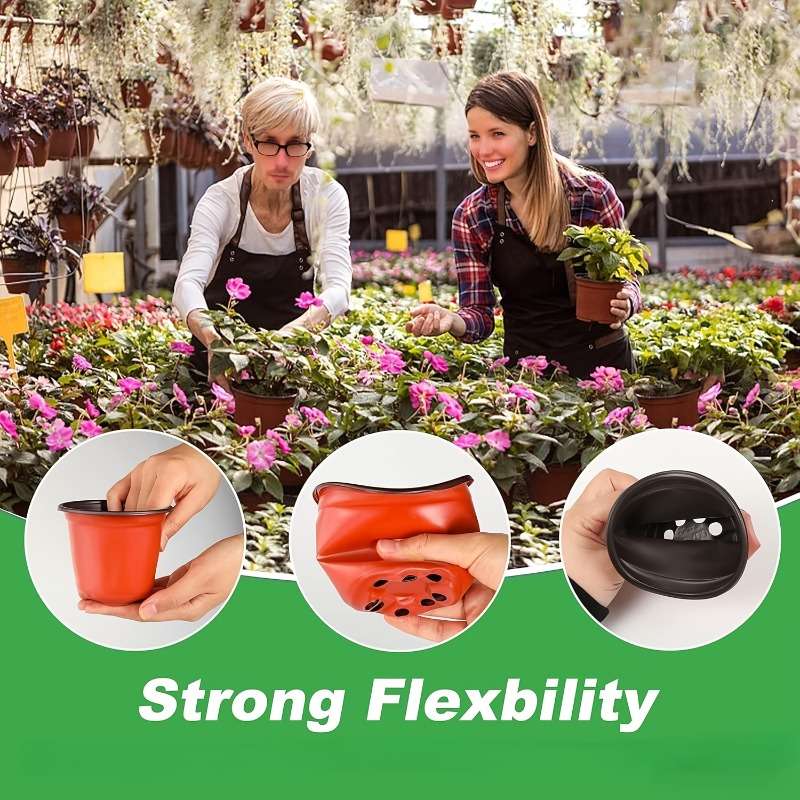 Flowerpot Quantity Xxxv