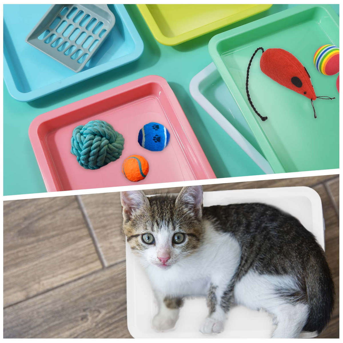 Pet supplies Quantity 5pcs