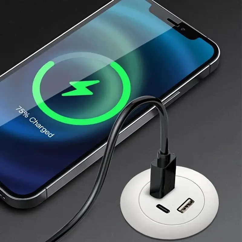 Charger Color Black
