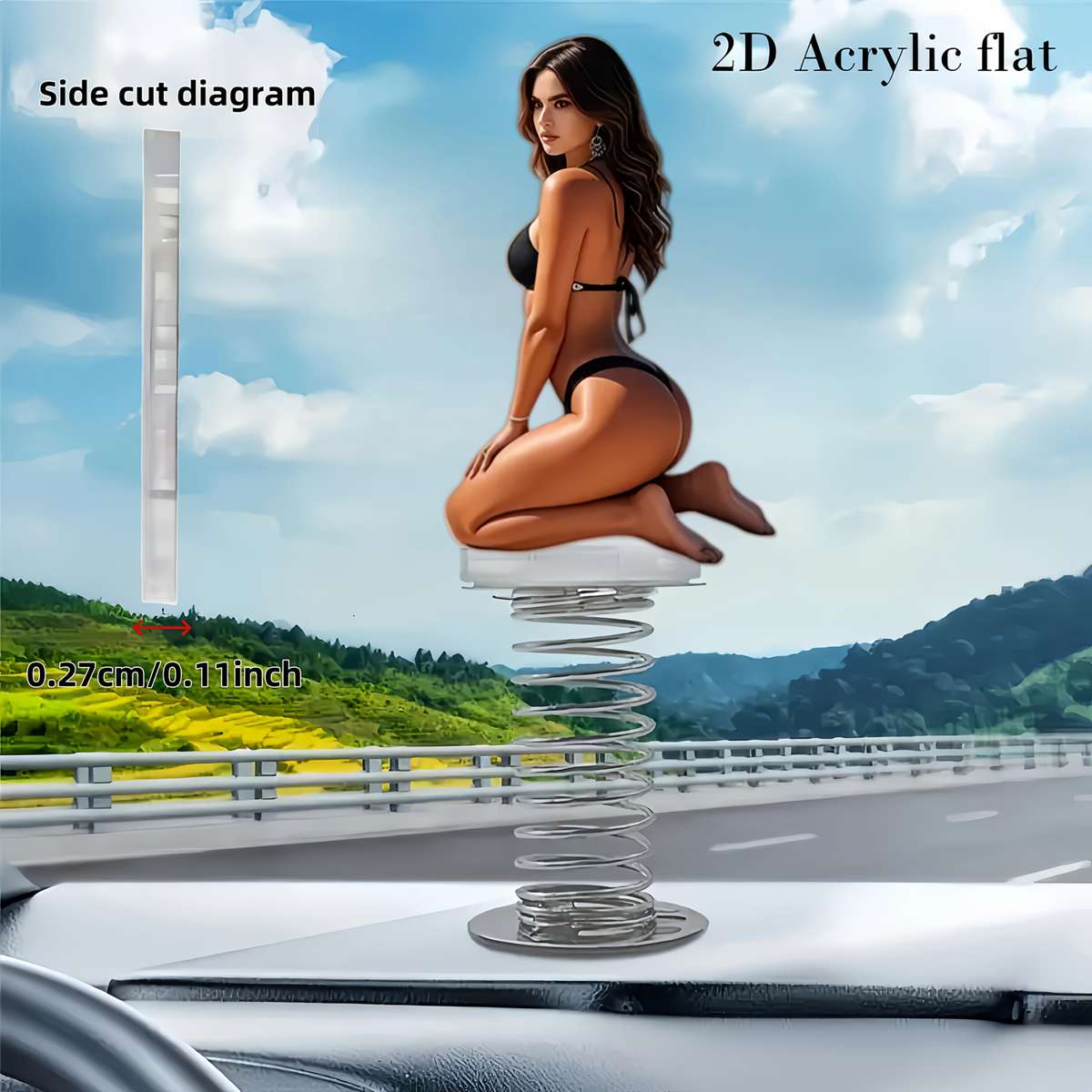 Car Interior Decor  3Pcs