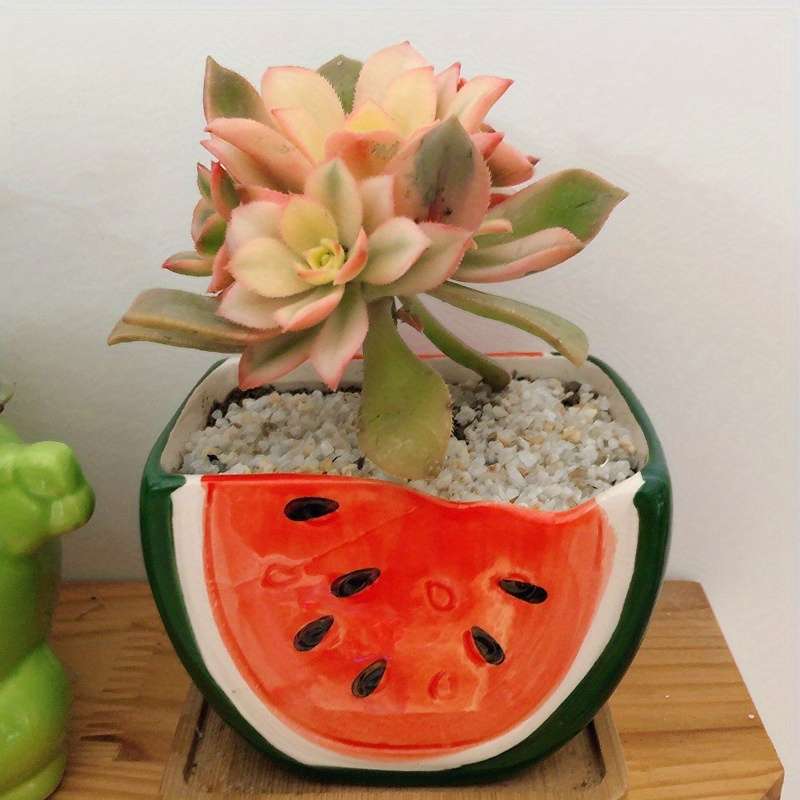 Flowerpotsize 10X5 5X7 5Cmcolor Apple