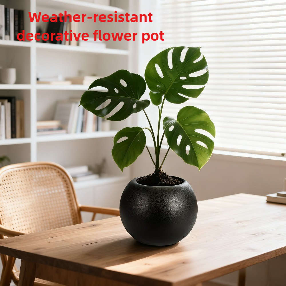 Flowerpotmaterial Plasticsize L20X15 6 Cm Black