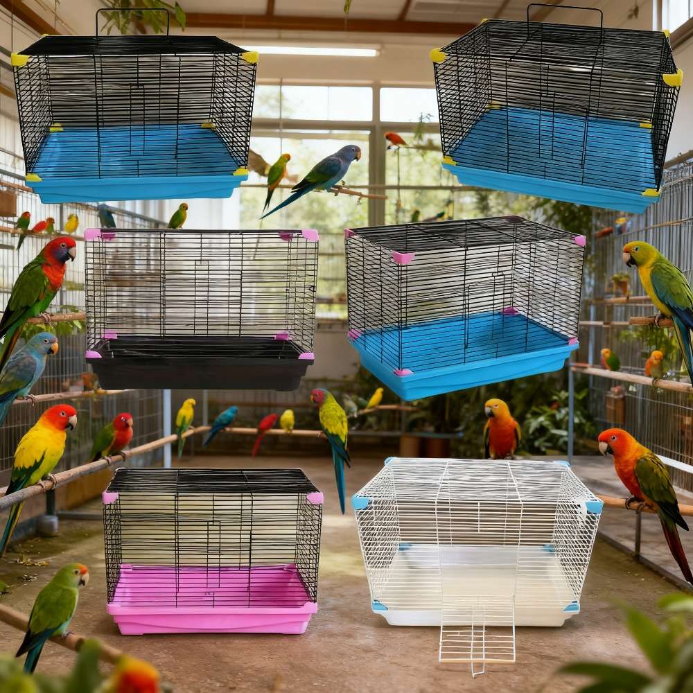 Birdcage Color Random Color