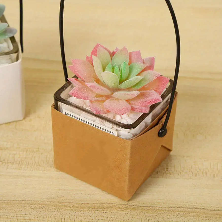 Flowerpot Quantity 5Pcs