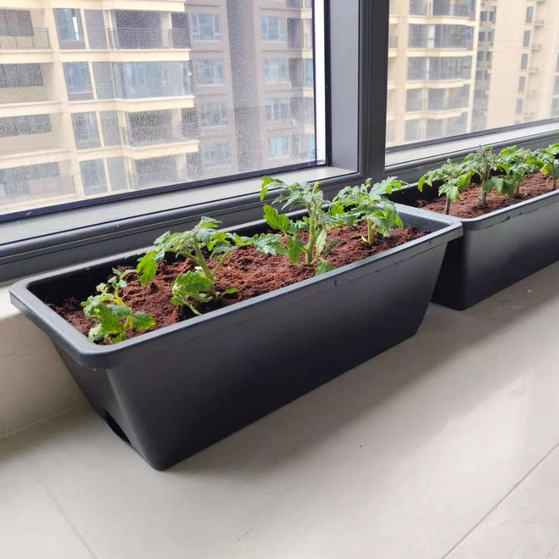 Flowerpot  6Pcscolor Light Gray
