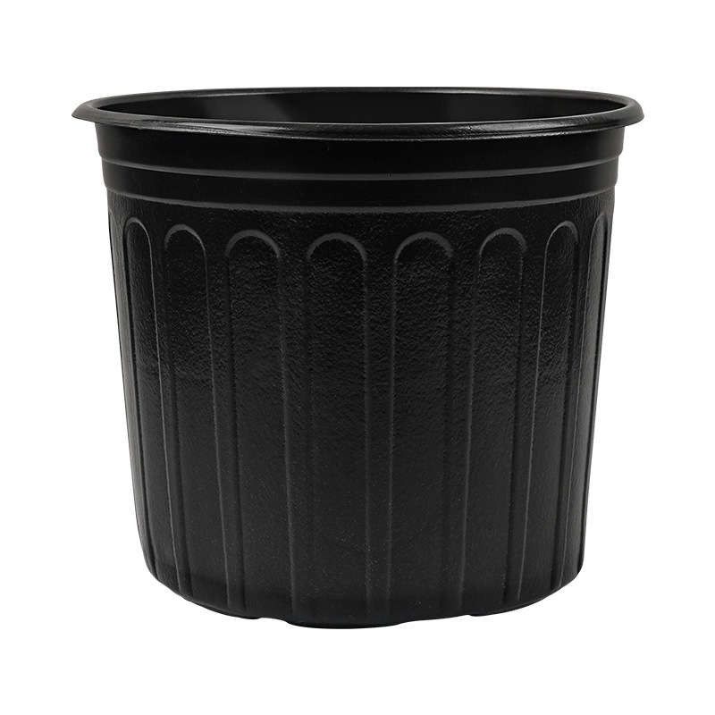 Flowerpotsize Inner Diameter 21 01 Cmcolor Blackcurrant Low-Cut - Five-Piece Set