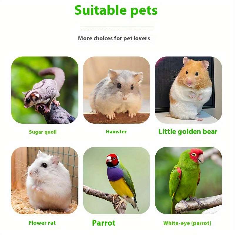 Pet supplies color Green