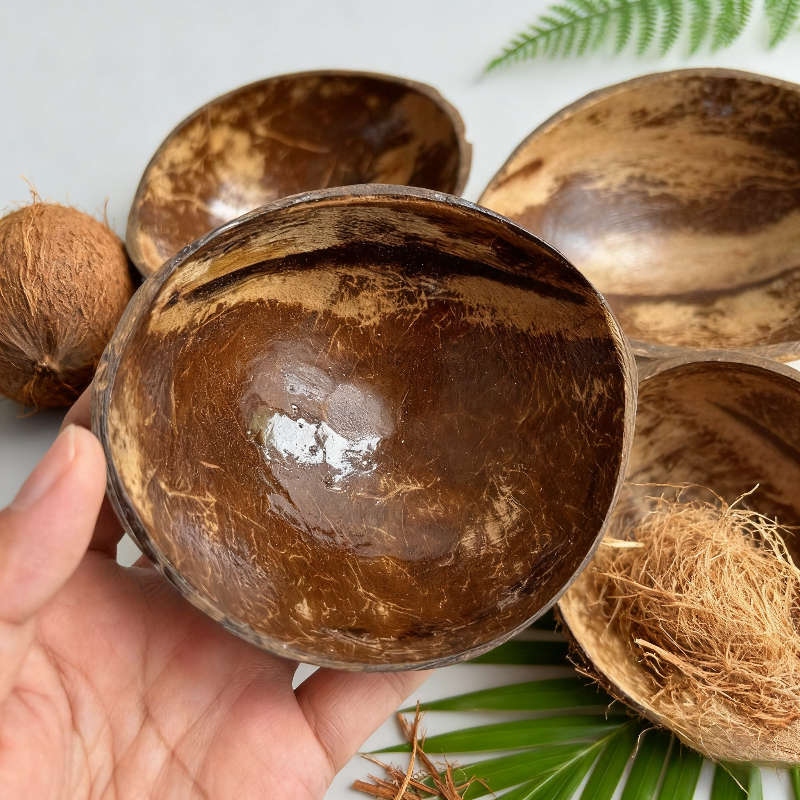 Bowl Color Halfnatural Type 2Pack