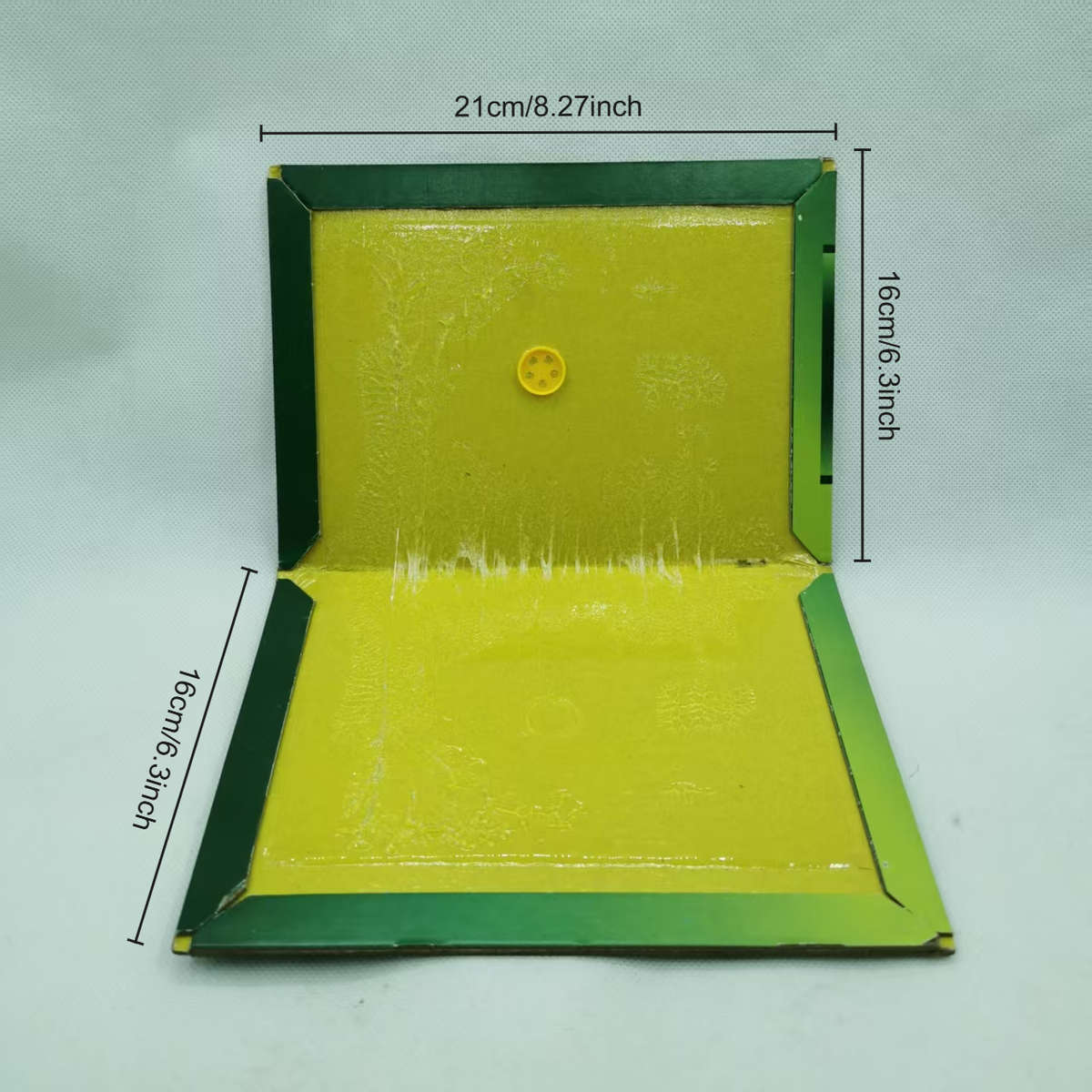Fruit Fly Traps Quantity 5Pcs