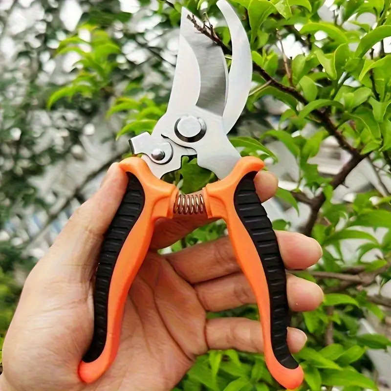 Pruning Shears Color Orange And Red Quantity2Pcs