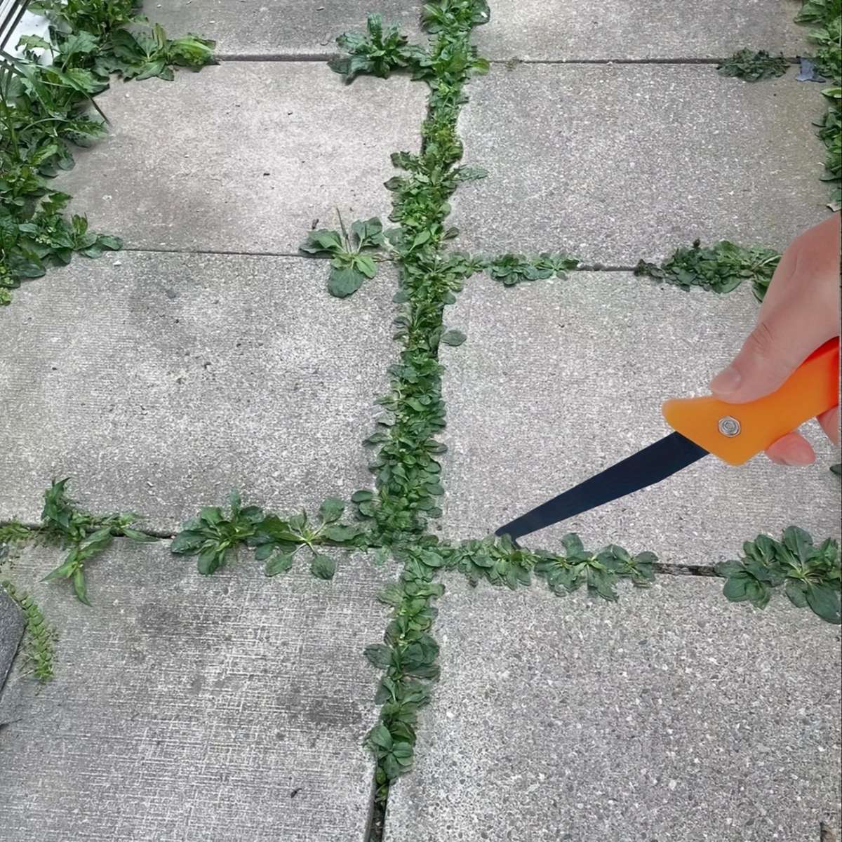 Garden Supplies Items 2Pcs Serrated Free Short Style