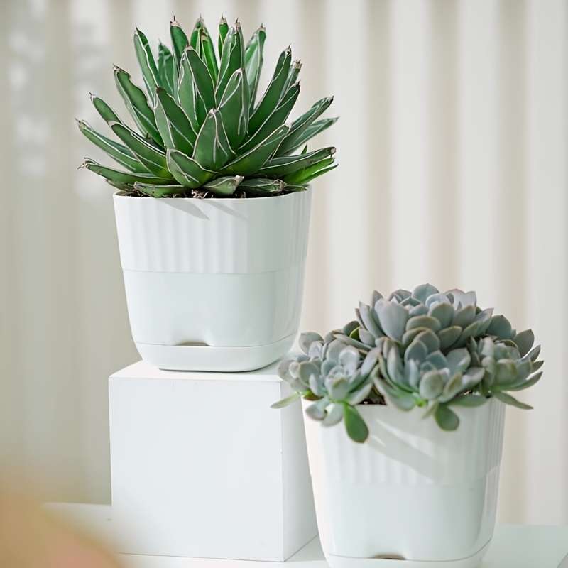 Flowerpot  6 Piecescolor Green