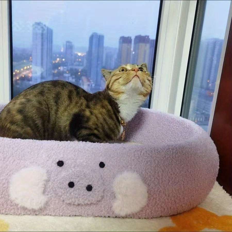 Pet Supplies Color Purple.