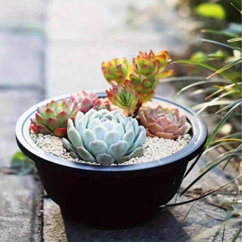 Flowerpot Color Black - 5-Pack
