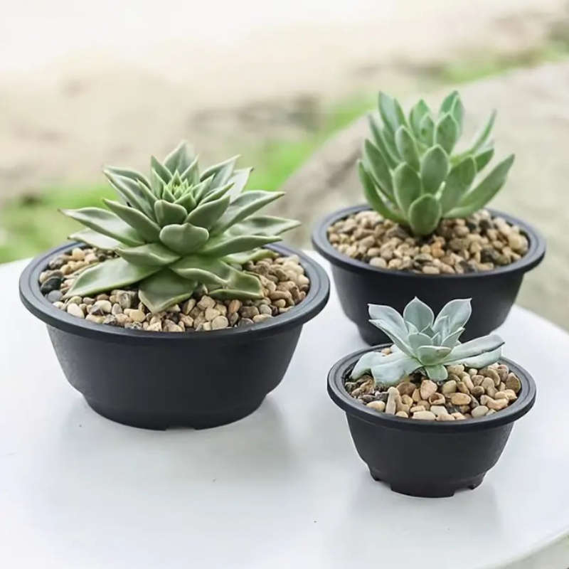 Flowerpot Color Black - 5-Pack