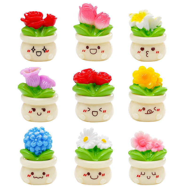 Flowerpot Quantity 2Pcs  Random Delivery