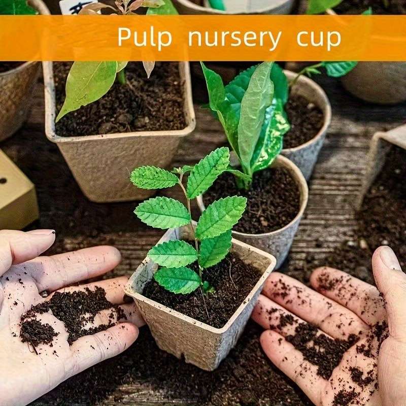 Flowerpot Quantity 5Pcs