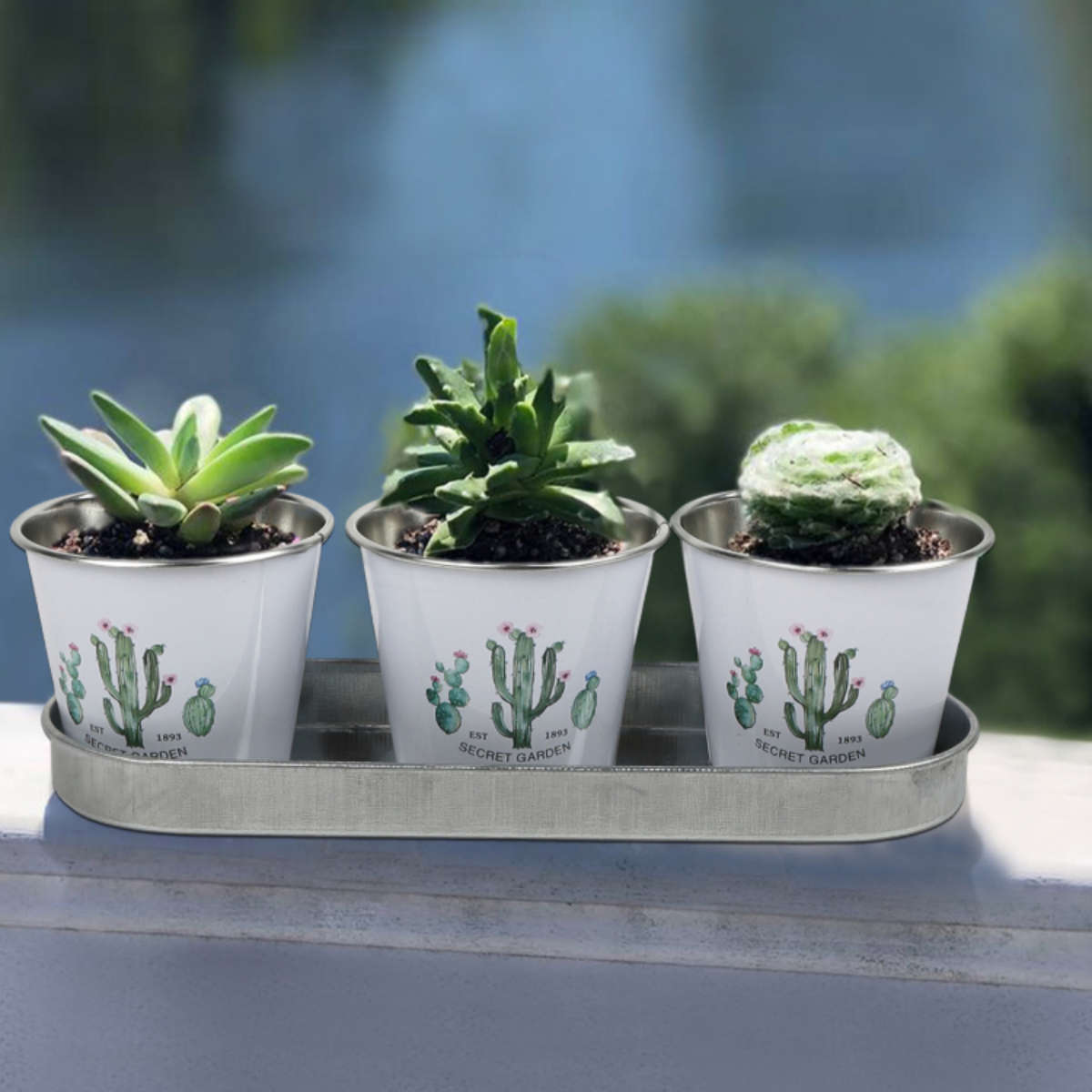 Flowerpot Composition 3Pc Flower Pots  Add  Trays