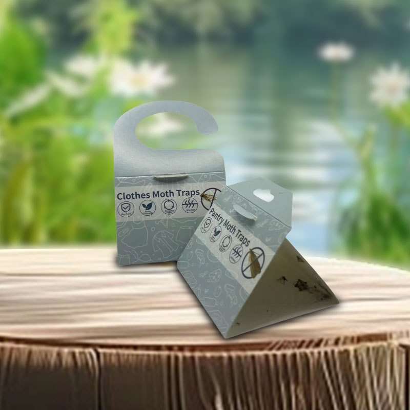 Fruit Fly Traps Quantity Clothes Moth 5Pcs