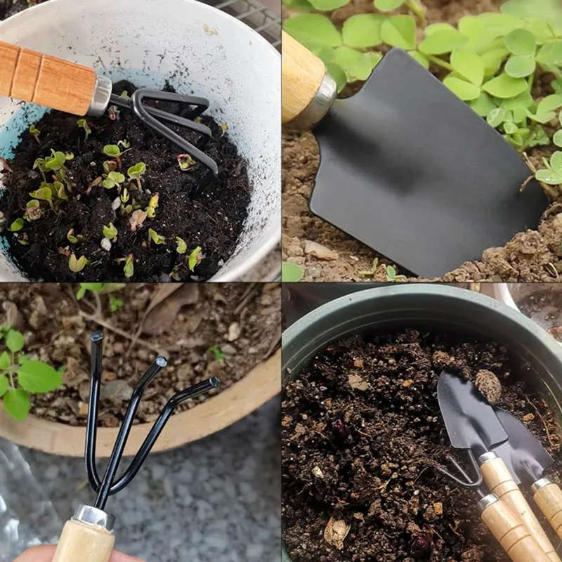 Garden Supplies Color 4 Piece Set