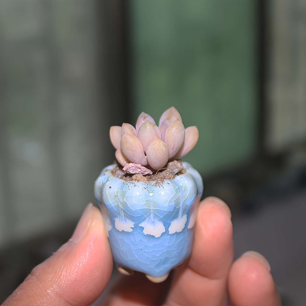 Flowerpot Quantity 3 Random Styles