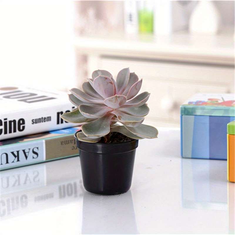 Flowerpot Color White Quantity5Pcs
