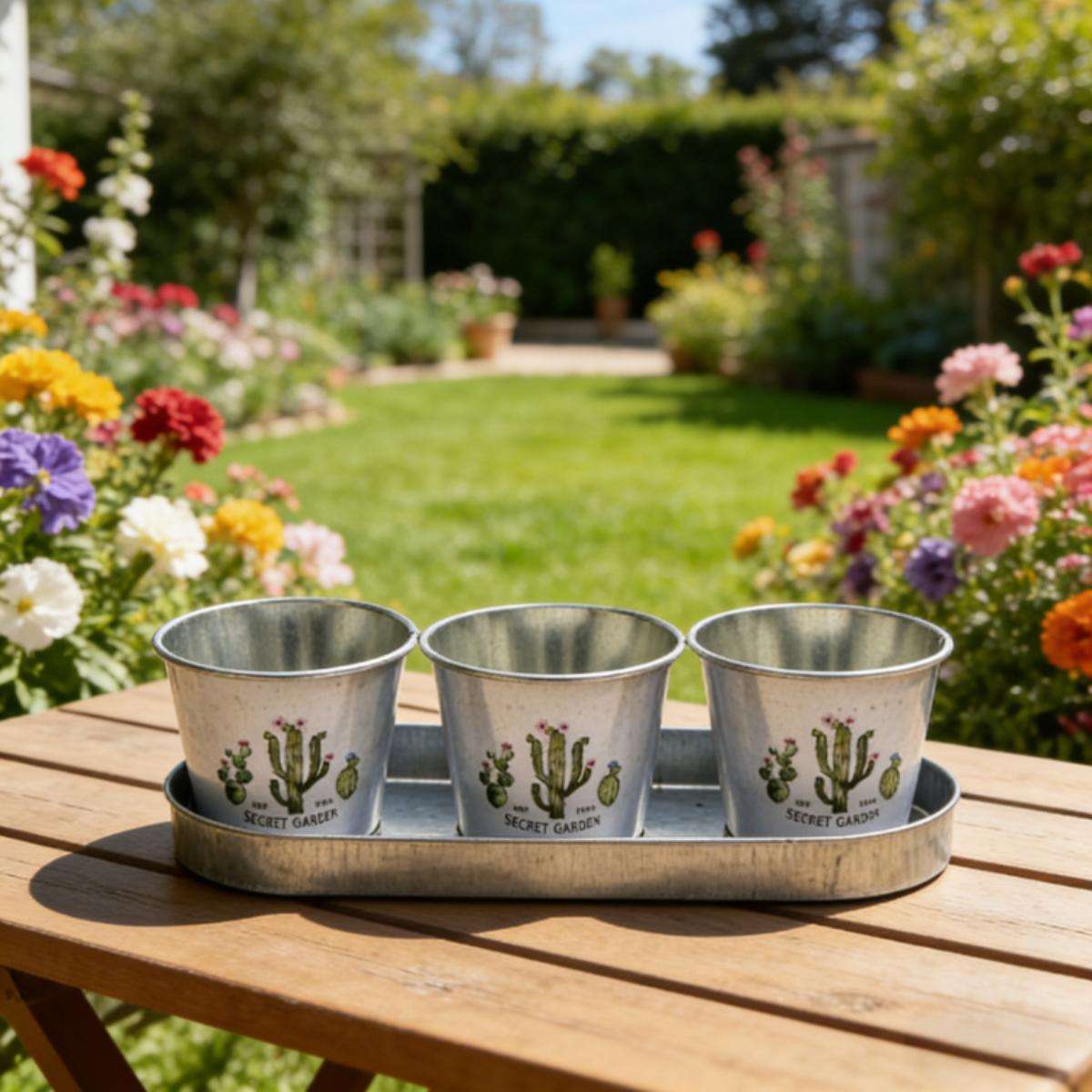 Flowerpot Composition 3Pc Flower Pots  Add  Trays