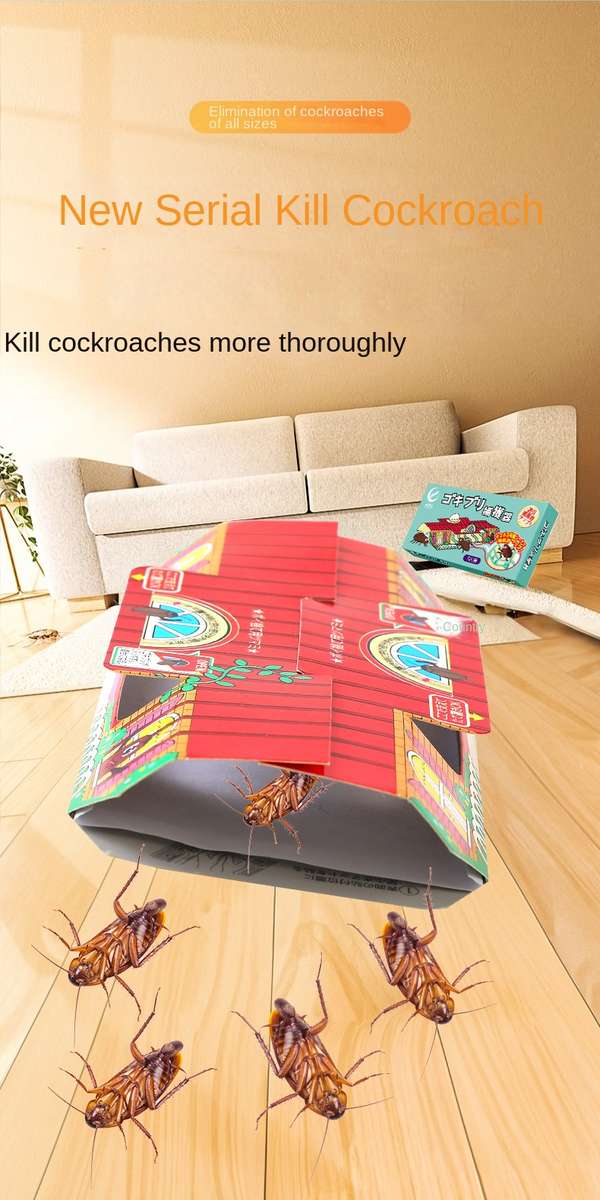 Fruit Fly Traps Quantity 6Pcs