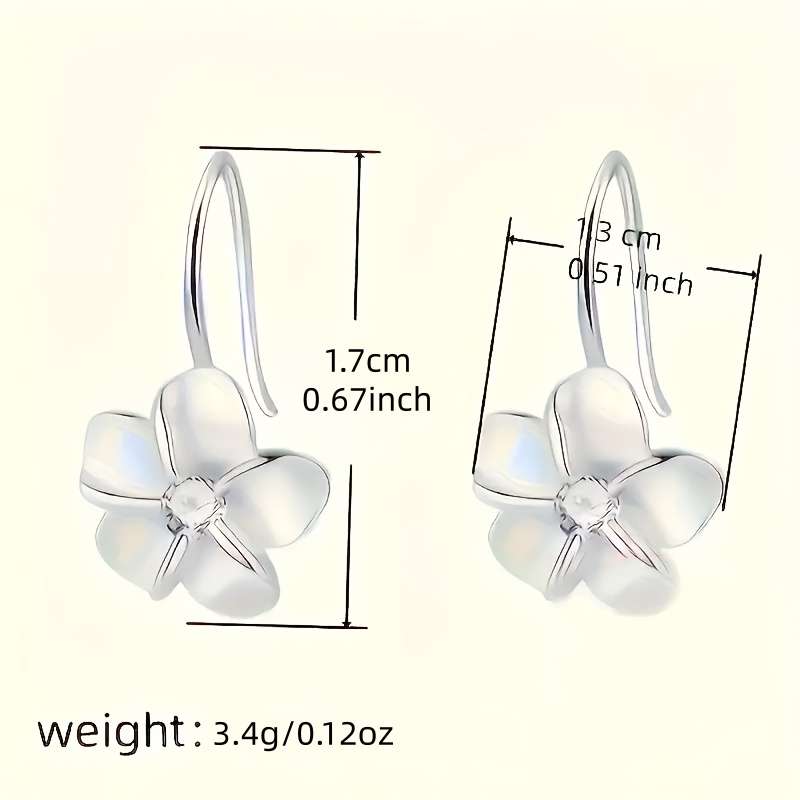 Women S Earrings Color Silvery