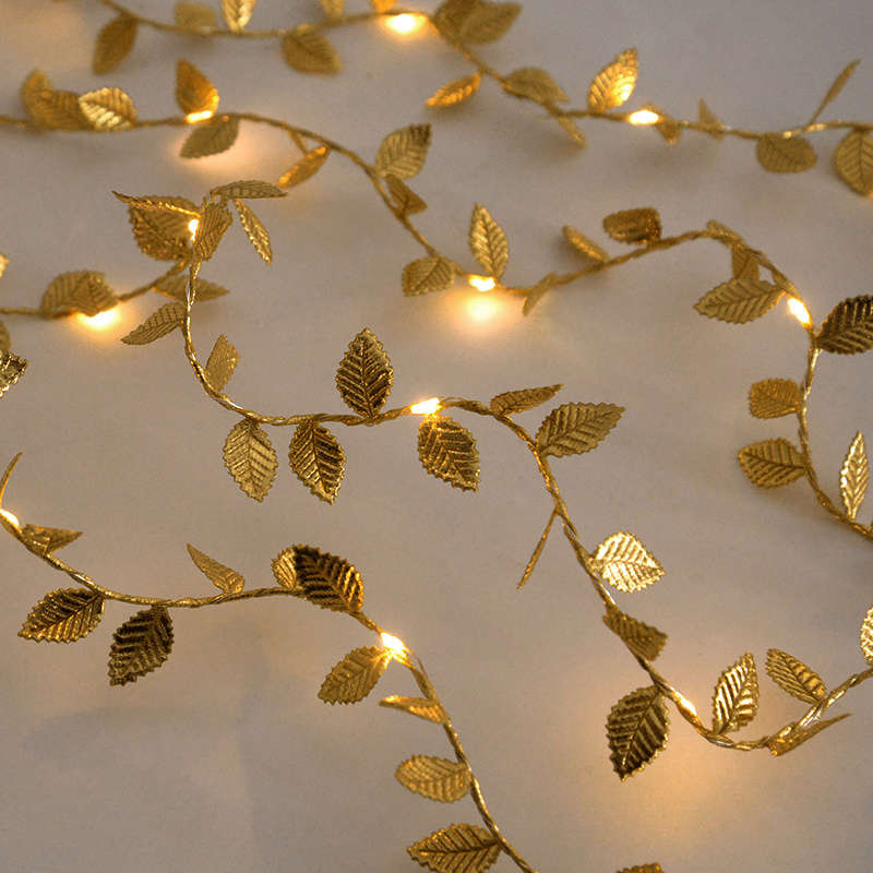 String Lights Color 3M 118.11Inch