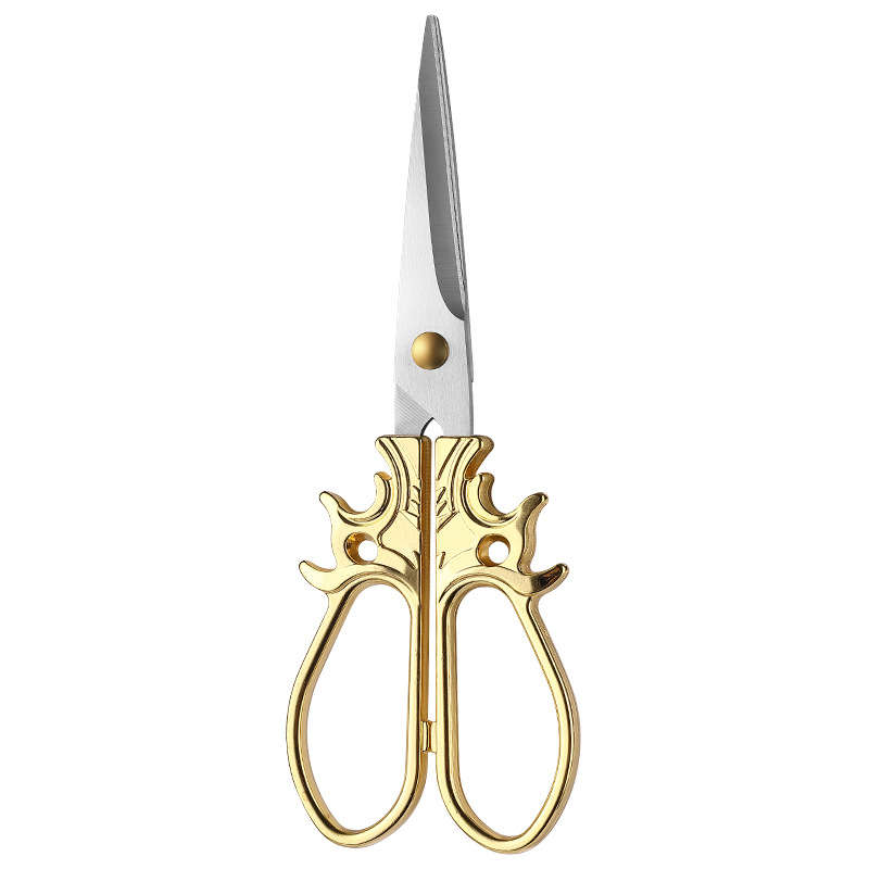 Scissors Color Color 1