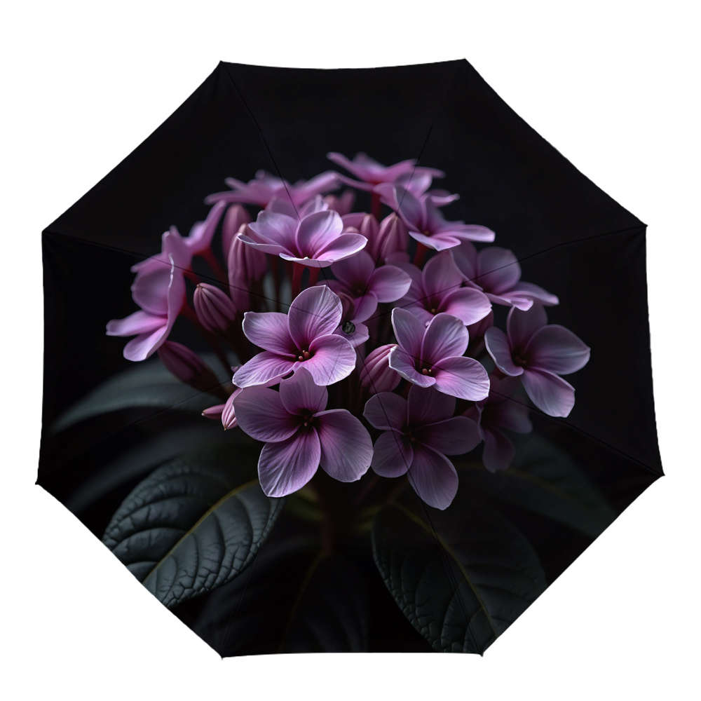 Umbrella Color Polychrome