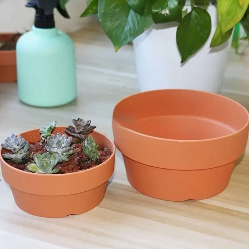 Flowerpot Color 16Cm-6 3In