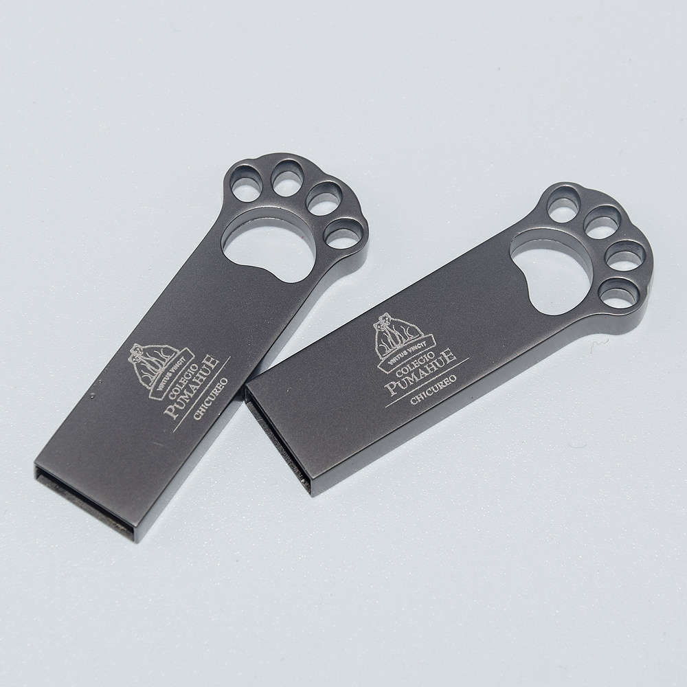 Usb Flash Drive Color Silvery Storage 2Gb