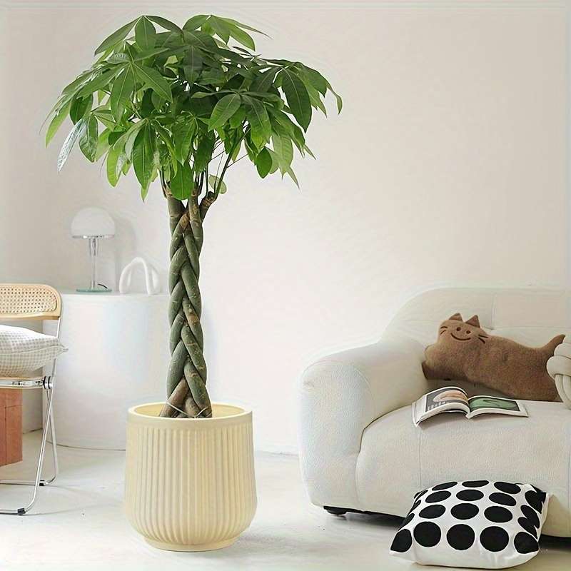Flowerpot Quantity 1