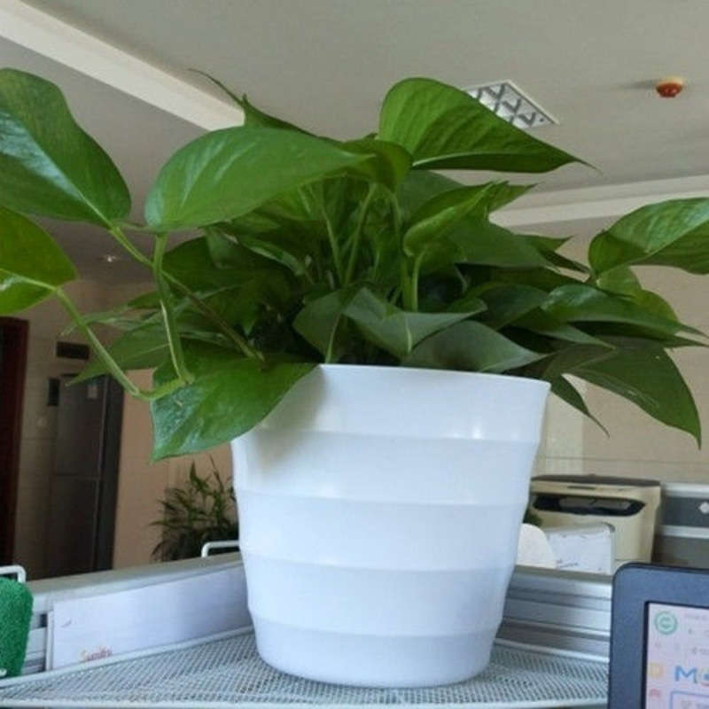 Flowerpot Color 6 Pieces Of White Corrugated Flower Pots