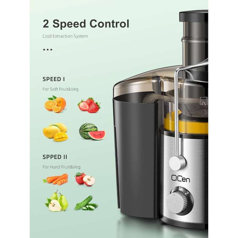 Juicer Color Silvery