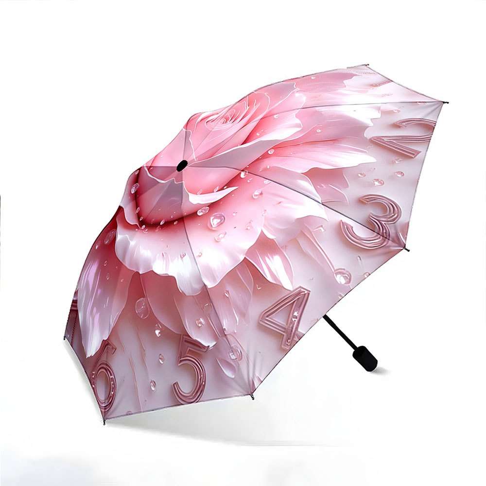 Umbrella Color Colorful