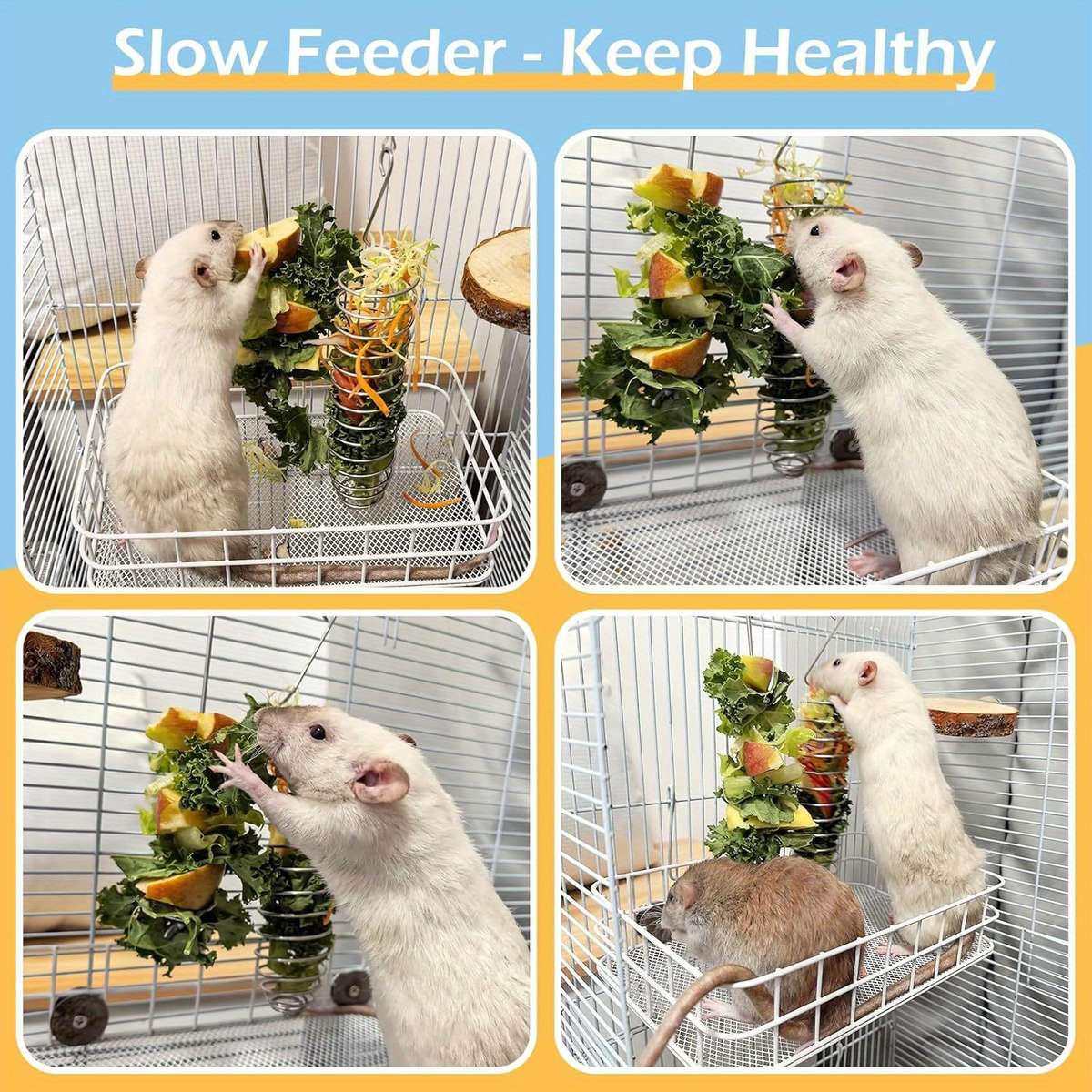 Pet Supplies Model 2Pcs  Feeding Cage  Add  Feeding Nails