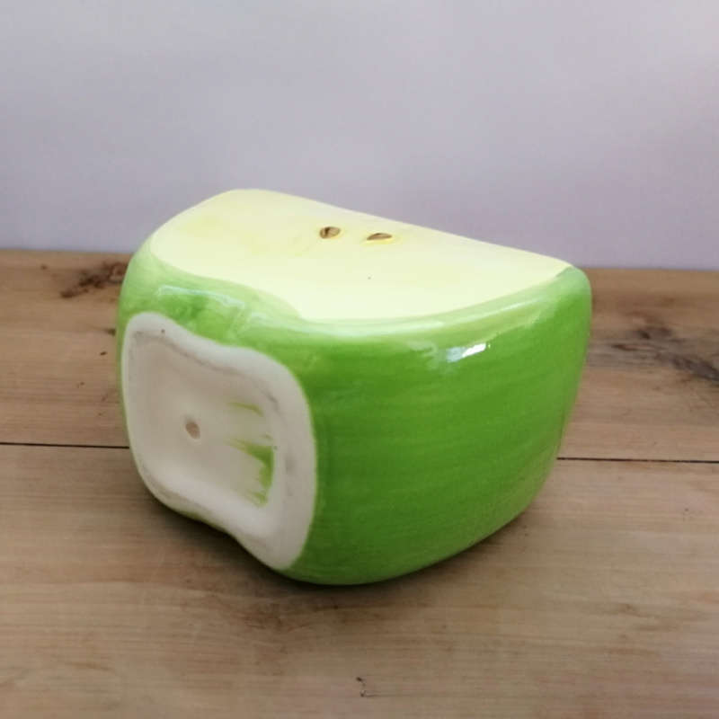 Flowerpotsize 10X5 5X7 5Cmcolor Apple