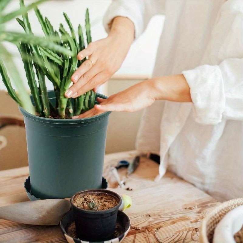Flowerpot Color Green Quantity7Pcs Pots7Pcs Saucers