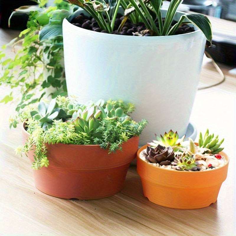Flowerpot Color 16Cm-6 3In